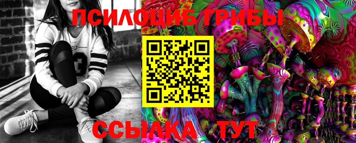 Кулебаки  Галлюциногенные грибы Psilocybe  Вход с VPN 